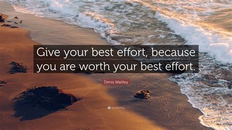 BEST EFFORTS definition .